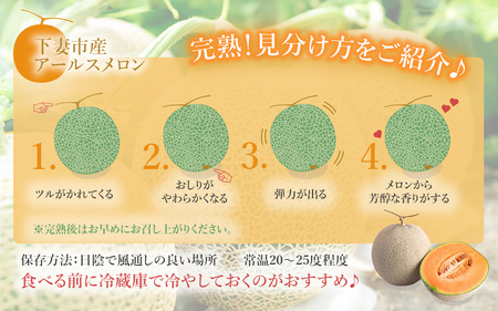 茨城県産アールスメロン「赤」約2.5kg（2個）【2025年9月上旬～10月上旬ごろ発送予定】【 メロン 茨城県産 メロン 下妻 メロン 果物 メロン フルーツ 贈り物 プレゼント 高級メロン メロン