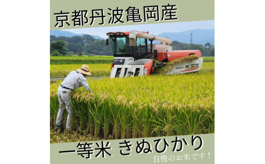【寄附額改定】【令和7年産】京都丹波米 きぬひかり 玄米 30kg《米 一等米 キヌヒカリ 特別栽培米 減農薬》※北海道・沖縄・離島への配送不可【～3月31日まで】