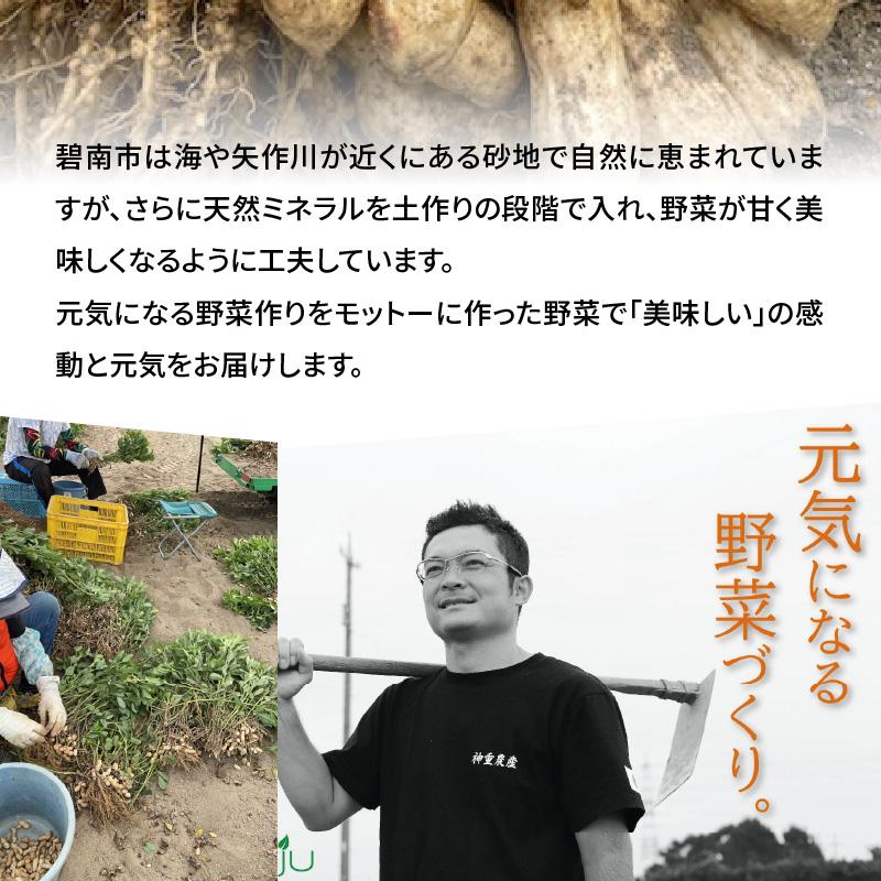 【2026年発送】事前予約 訳あり やみつき極うま “金の生落花生” 塩ゆで専用 1kg(500g×2袋）　H105-143
