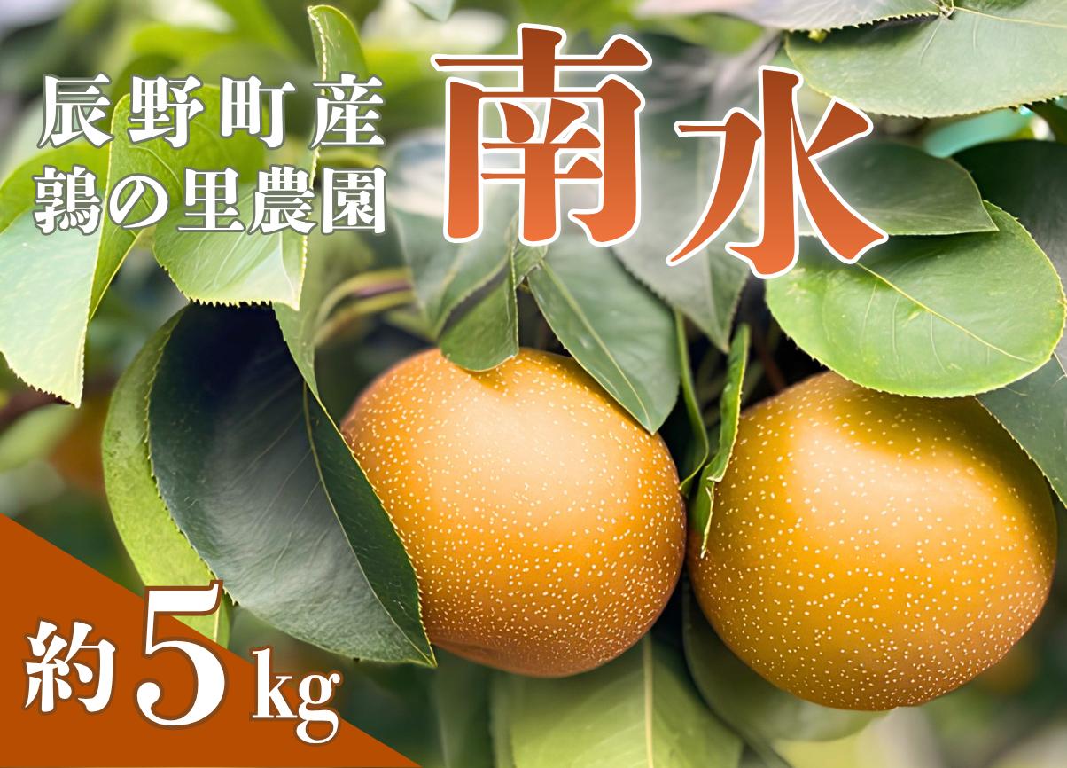 
                  215 先行予約 梨 南水 5kg  【鶉の里農園】
                