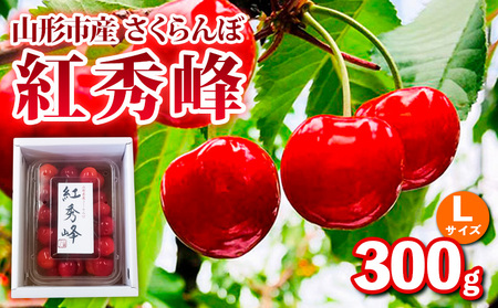 山形市産さくらんぼ【紅秀峰】Lサイズ 300g バラ詰め 【令和8年産先行予約】FS25-034
