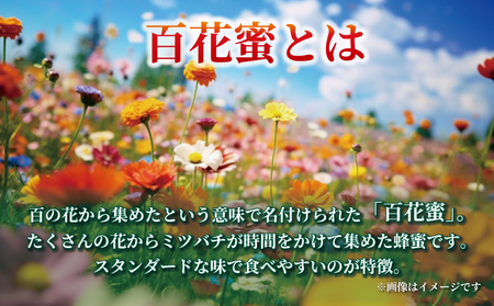 百花蜜 500g ギフト箱入 元気や 非加熱 はちみつ 国産はちみつ 百花蜂蜜 純粋はちみつ 生はちみつ 生蜂蜜 蜂蜜 ハニー ギフト プレゼント 贈答用 数量限定 産地直送 国産 愛媛 宇和島 はち