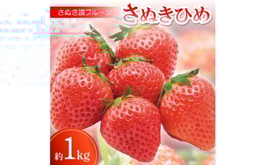さぬき讃フルーツ「さぬきひめ」約1kg＜令和8年1月～4月発送＞【1609817】