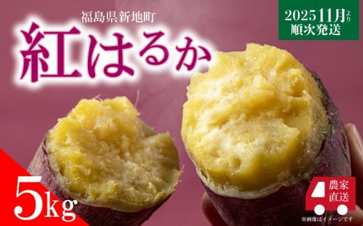 新地町産 紅はるか 生さつまいも 5kg  <2025年11月以降順次発送>