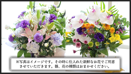 【 7月 お盆 限定 】 仏花 アレンジメント LLサイズ 花 フラワー 生花 月命日 命日 墓前 お墓参り 供花 お悔やみ お供え [CT139ci]