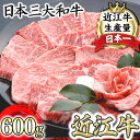 【ふるさと納税】近江牛 カルビ 焼肉 600g 千成亭 A4/A5 焼肉用 国産 ブランド牛 日本三大和牛 4等級以上の未経産牝牛限定 キャンプ アウトドア 贈り物 ギフト にも 冷凍 送料無料【リピート多数】【頑張った方へのご褒美を贅沢に】【畜産農家支援】