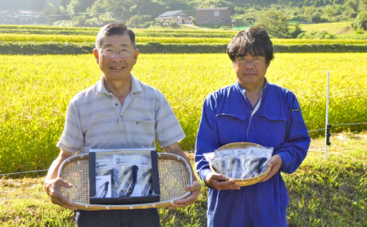 麺 グルテンフリー米粉100％麺　田守り麺彩りセット | グルテンフリー 米粉 麺 田守り麺 彩りセット グルテンフリー 米粉麺 米麺 ライスヌードル 100% 100パーセント アレルギー対応 小麦