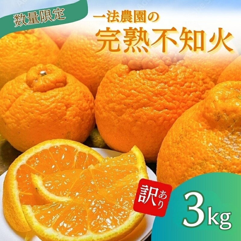 【ふるさと納税】 不知火 一法農園の 完熟不知火 ご家庭用 ちょこっと訳あり L-3Lサイズ 3kg【2月上旬〜3月下旬までに順次発送】 デコポン みかん ミカン 蜜柑 柑橘 果物 くだもの フルーツ わけあり 訳あり 家庭用 予約 人気 ジューシー 甘い 産地直送 送料無料
