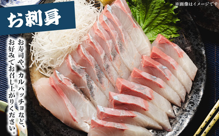 「カンパチ」 １匹 3.5kg～4kg 【先行申込】 手結沖養殖 - かんぱち かんぱち かんぱち かんぱち かんぱち かんぱち かんぱち かんぱち かんぱち かんぱち かんぱち かんぱち かんぱち 