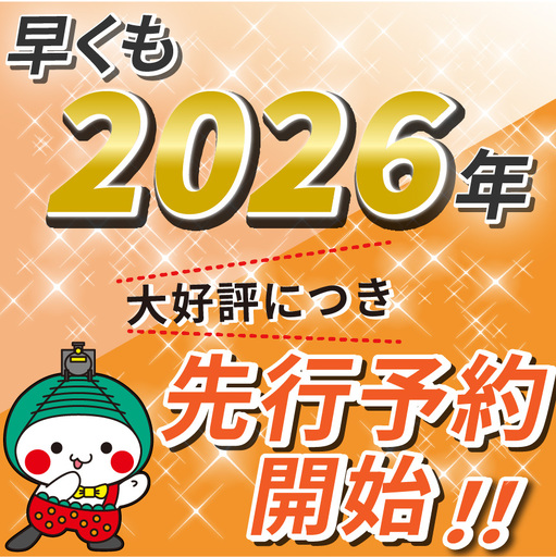 【2026年12月発送】先行予約 栃木のこでらんないイチゴ（とちあいか） 約300g×6