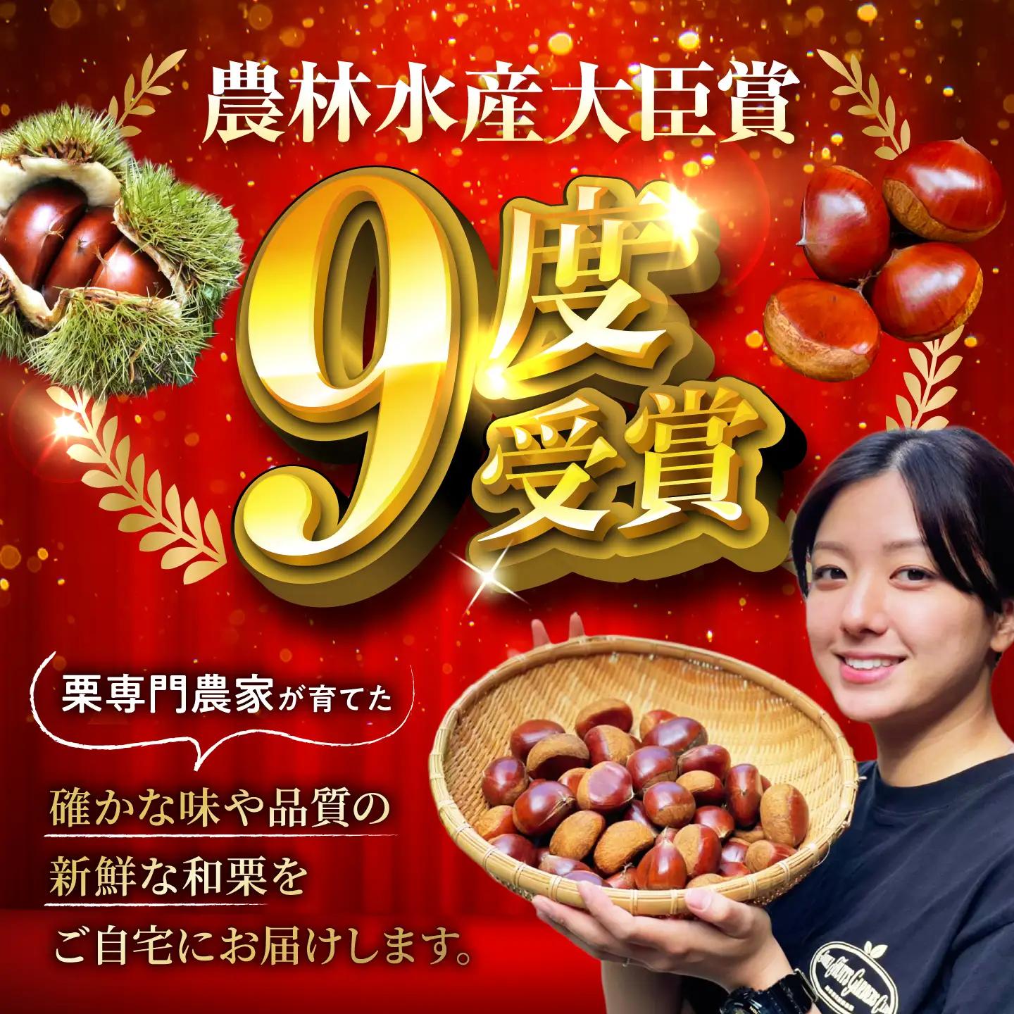 銀寄栗 【先行予約】Lサイズ 1kg 約55粒 栗 BKCC003