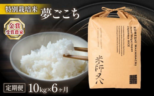 米 定期便 夢ごこち 10kg × 6ヶ月 ( 令和7年産 2025年産 ブランド 米 rice 精米 白米 ご飯 内祝い 十六代目米師又八 謹製 もちもち 国産 送料無料 滋賀県 竜王 ふるさと納税 )