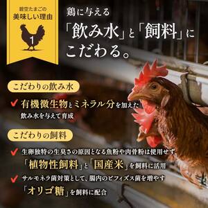 【3回定期便】ビタミンＥ豊富な「碧空たまご」80個入り Lサイズ タマゴ 卵 玉子 たまご F23R-936