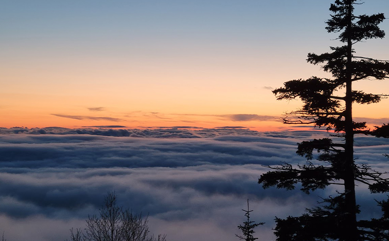 湯元 凌雲閣 【1泊朝食付】宿泊 スノーシュー トレッキング 体験 セット 北海道 上富良野 十勝岳 スノー アクティビティ