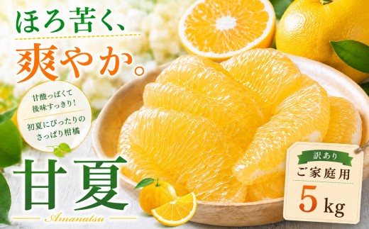 ＜涼果の旨み 愛媛県産甘夏 合計約5kg＞『2027年3月中旬～4月下旬迄に順次出荷予定』 訳あり あまなつ 上品な味わい 爽やか ミカン 蜜柑 ご家庭用 果汁 果物 くだもの フルーツ オレンジ 柑橘 特産品 極尽道 愛媛県 西予市 【常温】
