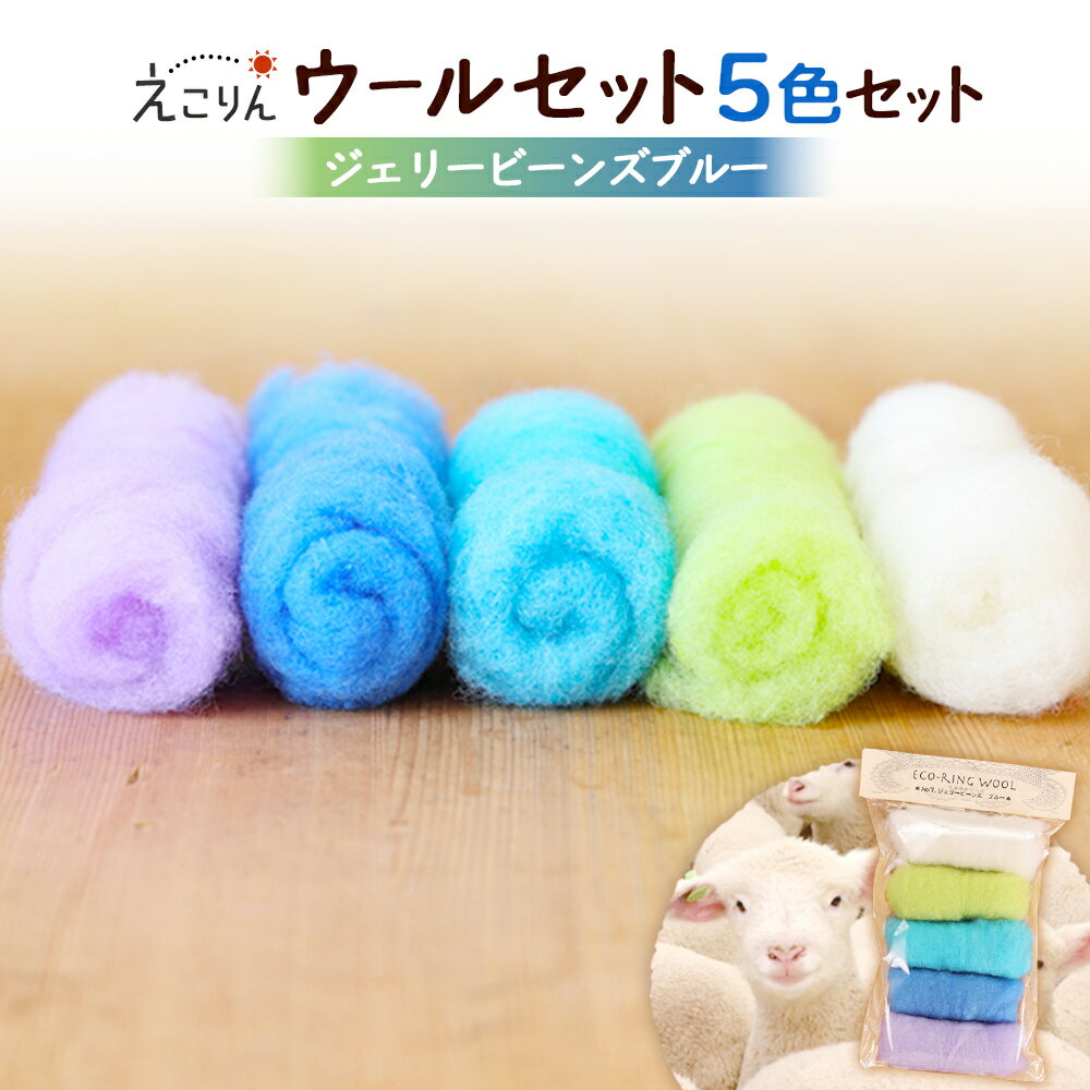 【ふるさと納税】えこりんウールセット《白とジェリービーンズ　ブルー》 手芸キット ウール 生地 手芸 手作り ふるさと納税 北海道 恵庭 恵庭市【19005001】