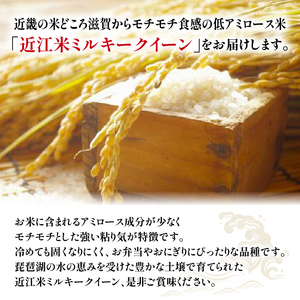 令和6年産 新米 定期便 10kg 全6回 ミルキークイーン  + 3品種 食べ比べ ( こしひかり みずかがみ にじのきらめき ) 全4品種 白米 各 5kg × 2袋 6ヶ月 近江米  国産 お米