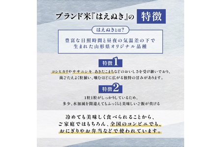 米 定期便 3回 令和8年産 厳選米 匠 特別栽培米 はえぬき 10kg 計30kg