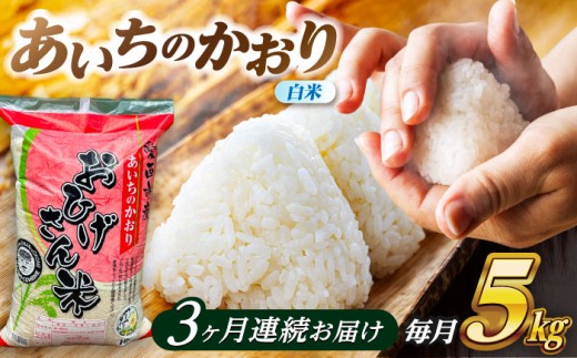 【3回定期便】 あいちのかおり 白米 5kg×3ヵ月 愛西市 / 脇野コンバイン [AECP004]