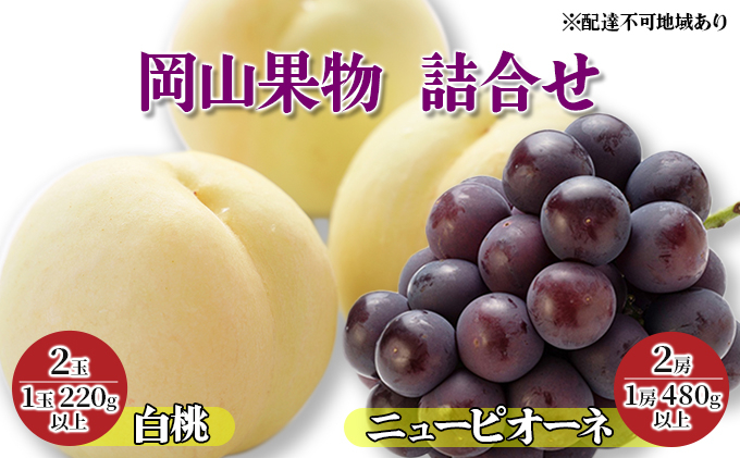 
            桃 ぶどう 2024年 先行予約 岡山果物 詰合せ 白桃 2玉（1玉 220g以上）／ ニュー ピオーネ 2房（1房 480g以上）化粧箱入り もも 葡萄 岡山県産 国産 フルーツ 果物 ギフト
          