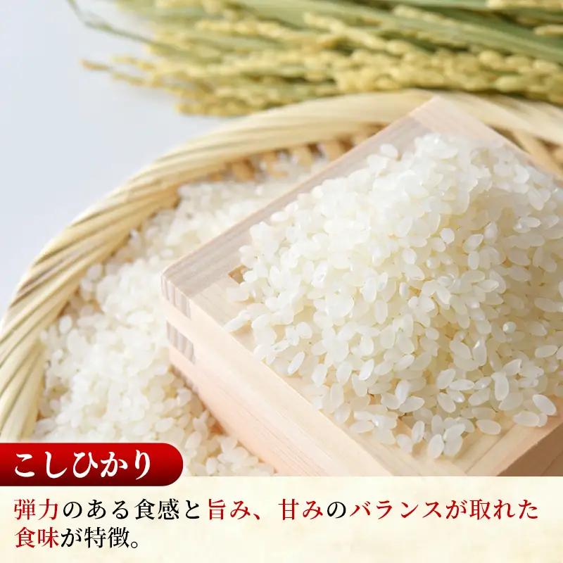 新米 令和8年産 こしひかり 精米 10kg (5kg×2袋)  コシヒカリ 中山産業 【価格変更AC】