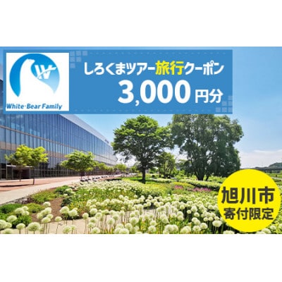 【旭川市】しろくまツアーで利用可能なWEB旅行クーポン (3,000円分)_05212【1656752】