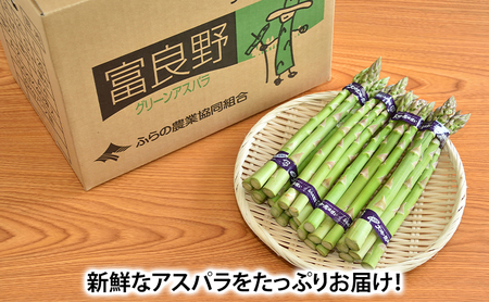 【令和8年産】アスパラガス グリーンアスパラ 1.5kg Lサイズ アスパラ 野菜 北海道 上富良野町 ふらの農業協同組合