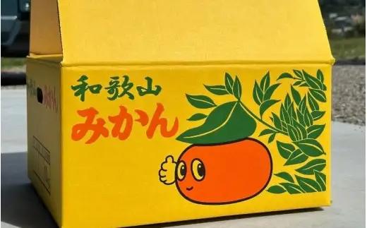 ＼訳あり／ ゆら早生みかん 10kg / みかん ミカン 和歌山県 柑橘 早生 甘い 蜜柑 フルーツ 果物 くだもの 食品  産地直送 由良町 ご家庭用 ゆら早生 早生みかん ※2026年10月上旬～