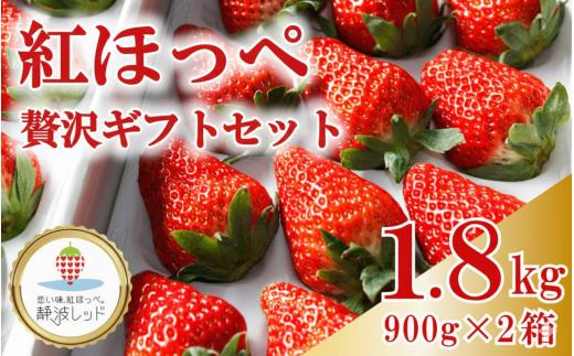 【先行予約】2026年1月から発送開始 【 いちご 】 紅ほっぺ 贅沢 ギフト セット 900ｇ × 2箱 果物 イチゴ 苺 フルーツ くだもの スイーツ デザート ストロベリー おやつ 完熟 直送 家庭用 贈答用 贈答 ギフト 贈り物 甘い ブランド ジャム スムージー アレンジ フルーツ大福 いちご大福 健康 ビタミン 農家直送 朝採れ ベリー 国産 イチゴイチエ石神農園 静岡県 牧之原市