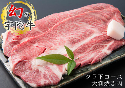 特産 認定肉 宇陀牛 クラシタ ロース 大判 焼肉 約１キロ 国産 黒毛和牛 チルド / 山繁 ふるさと納税 牛肉 レア 人気 肉マニア 寄付 ランキング おすすめ グルメ 肉 返礼品 送料無料 