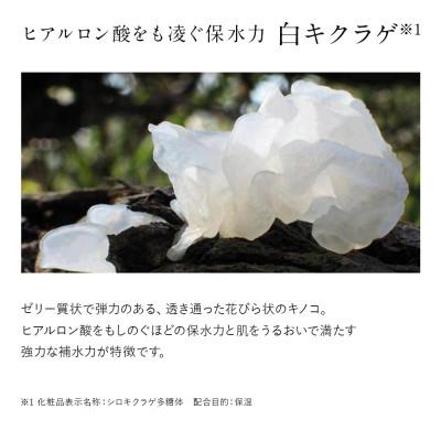 ふるさと納税 宇城市 ドモホルンリンクル保湿液(宇城市) |  | 03