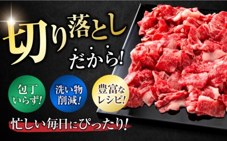 佐賀牛 切り落とし 計 600g （ 150g ×4パック） 吉野ヶ里町/一ノ瀬畜産 佐賀牛 牛肉 肉 国産 ブランド牛 切り落とし [FDC008]