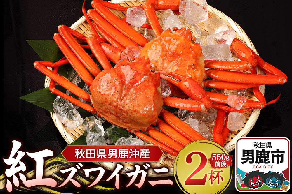 男鹿沖産紅ズワイガニ 550g 前後×2杯 男鹿なび 蟹 カニ 国産 秋田 ずわい蟹 ずわいガニ [新鮮 冷蔵便]|23_ogn-150201