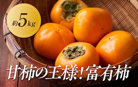 【2025年11月上旬より発送】甘柿の王様！富有柿　約5kg |フルーツ 旬 柿 美味しい 柿 新鮮 富有柿 フルーツ 詰合せ 柿 セット 富有柿 フルーツ 人気 富有柿 フルーツ 厳選 おすすめ 富有柿 フルーツ