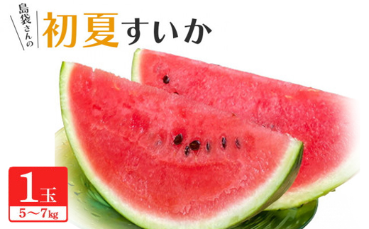【先行受付・2026年6月上旬から順次発送】島袋さんの夏スイカ大玉 1玉(5.0～7.0kg)【配送不可地域：離島】