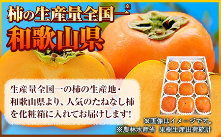 和歌山産 たねなし柿 約4kg 化粧箱入り 柿