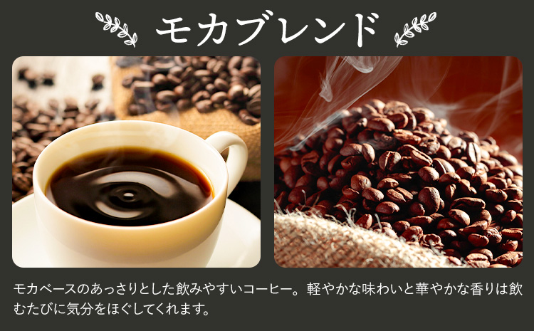 Cコーヒーギフト スペシャリティ 180g モカブレンド 180g 中挽き タウンコーヒー《30日以内に出荷予定(土日祝除く)》和歌山県 岩出市 コーヒー 珈琲 ブレンド カフェイン