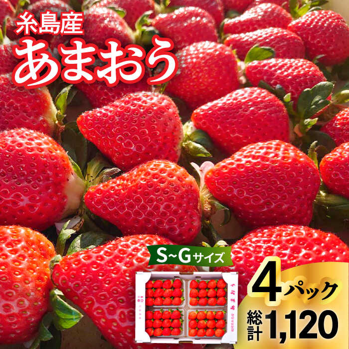 【ふるさと納税】【先行予約】(農家直送！) 糸島産 あまおう 280g × 4パック (Sサイズ〜Gサイズ) 【2026年1月下旬以降順次発送】　糸島市 / 後藤農園 [AML003] いちご イチゴ 苺 12000円 ギフト