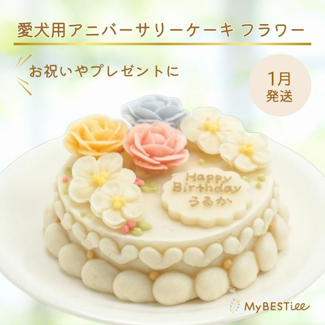 【ふるさと納税】[1月発送] 犬用 ケーキ 無添加 ペット 愛犬 誕生日 お祝い 国産 ヘルシー 低脂肪 低カロリー アニバーサリー プレゼント お祝い 文字入れ 名入れ バースデー 小型犬 中型犬 大型犬 ワンちゃん おやつ ドッグフード ペットフード MyBESTiee [2439]