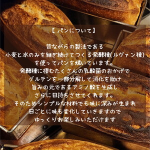 No.348 【国産有機小麦と自然栽培小麦・ライ麦使用】素材を味わうパンセット ／ パン 国産小麦 自然栽培 小麦 ライ麦 天然酵母 ルヴァン種 国産素材 自家製粉 自家製ルヴァン種 パンセット 詰め