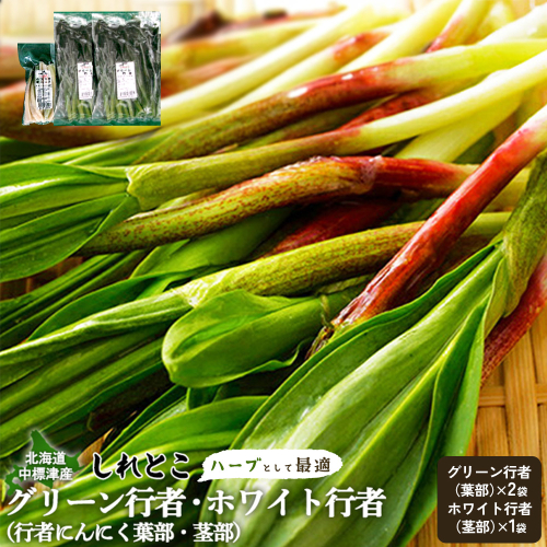 【ハーブとして最適】行者にんにく3袋（葉部・茎部）グリーン行者×2袋 ホワイト行者×1袋【2001901】