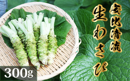 岩手県産 生わさび 300g 【安比清流山葵園】 ／ 山葵 ワサビ わさび 薬味 国産 八幡平市産 産地直送 新鮮 調味料 刺身 ステーキ お肉 蕎麦 和え物 漬け物 刻み おろし 辛味 和食 お寿司 そば 肉の薬味 魚の薬味 そばの薬味 料理 おすすめ オススメ