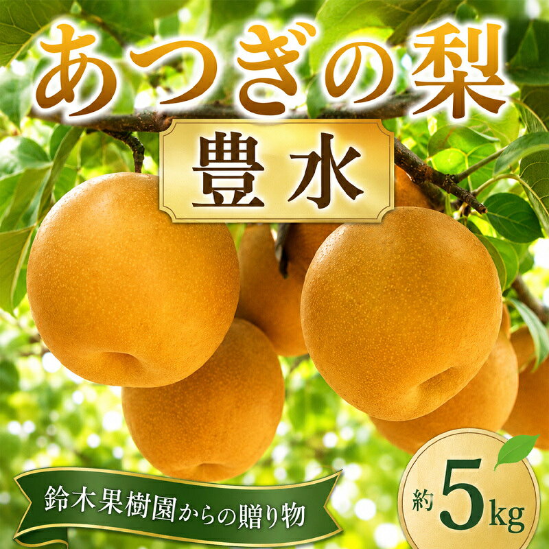 【ふるさと納税】 梨 豊水 豊水梨 約 5kg 1箱 なし ナシ 旬の梨 果実 贈答 甘み 品種 果汁 たっぷり 果物 くだもの デザート フルーツ fruit 2026年産 旬の果物 旬のフルーツ 高評価 大人気 おすすめ 特産品 かながわブランド 神奈川県産 関東 厚木 あつぎの梨 鈴木果樹園