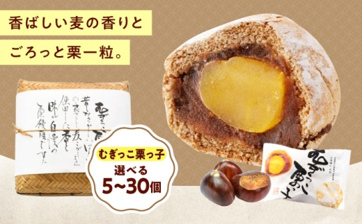 お菓子 むぎっこ栗っ子（5入箱） おやつ 菓子 お茶 スイーツ 広島県福山市/有限会社勉強堂 [BAFL030]