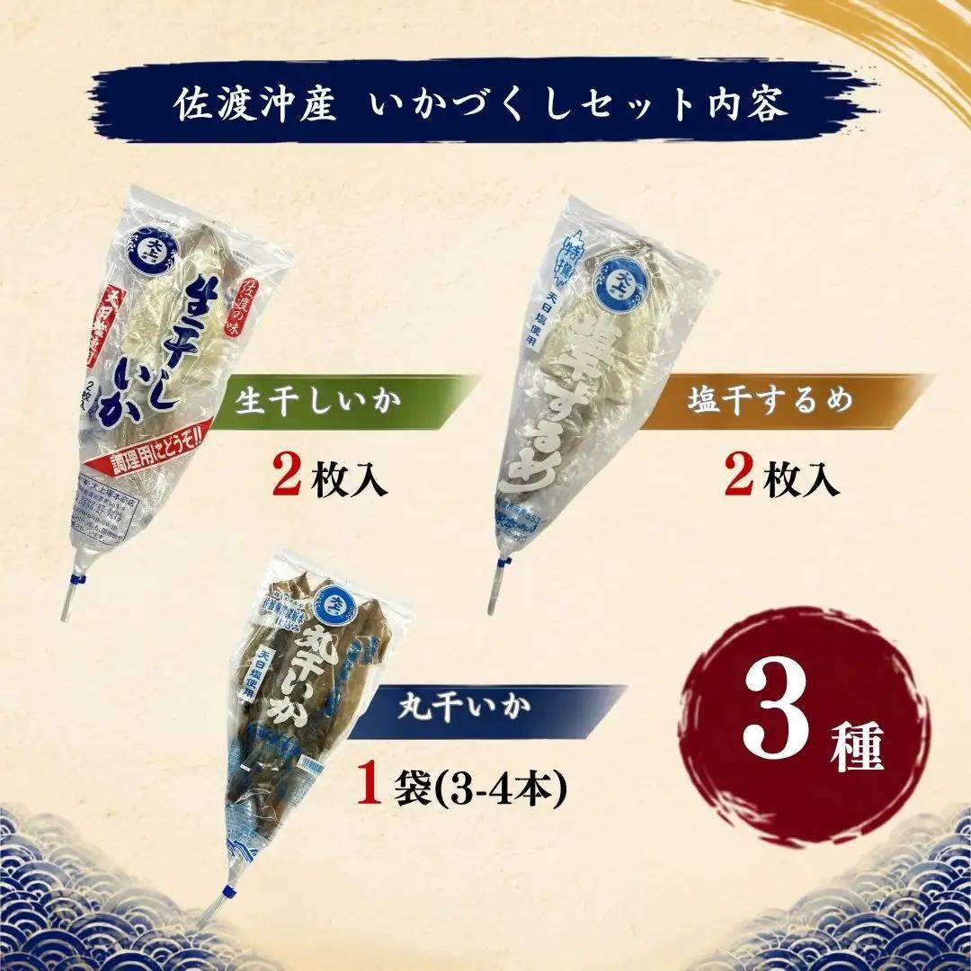 干物 イカ 佐渡沖産 3種 イカづくしセット1