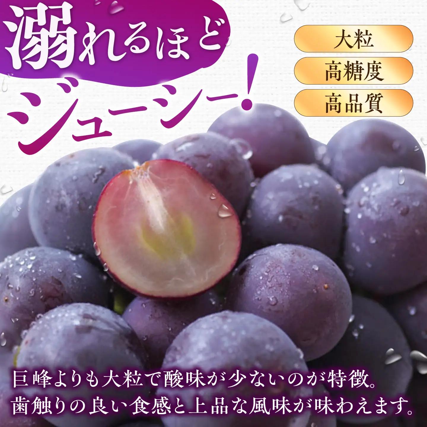 ピオーネ 2パック（約700g） 広川町 / JAふくおか八女農産物直売所どろや[AFAB115]
