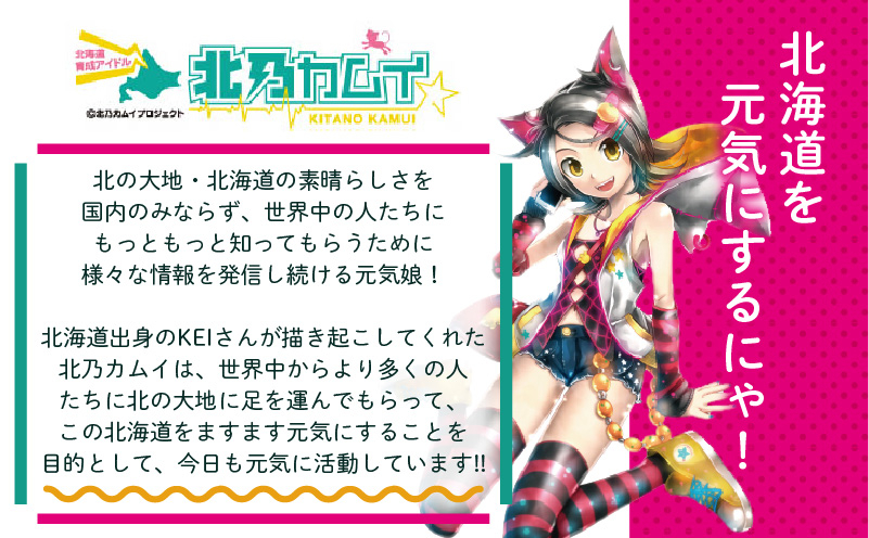 【ガラナ 500ml×24本】北乃カムイ　T057-002