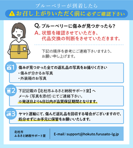【2024年先行予約】【超大粒】山梨県産（明野産）生果　ブルーベリー500g