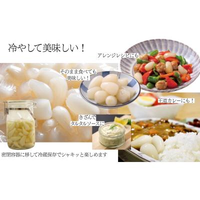 ふるさと納税 鳴門市 鳴門らっきょう甘酢漬け |  | 03