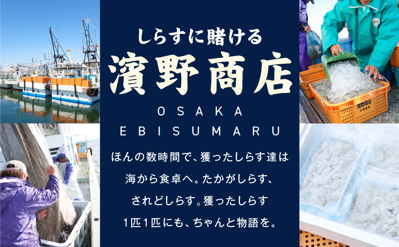 【スピード発送】新物！泉州生しらす「煌（きらめき）」300g【小分け 100g×3P 漁師直送 シラス 国産 無添加 産地直送 sirasu 海鮮 しらす 鰯 イワシ いわし】 G4023_イメージ5